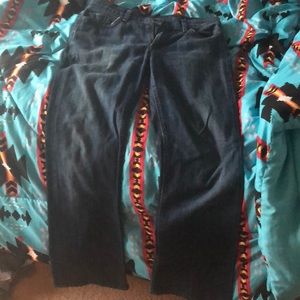 Sevens for All Mankind bootcut jeans